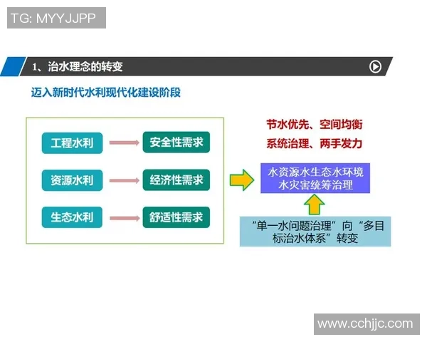 杭州排球队整体压制革新探索与实践的深度剖析与未来展望